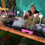 20140920 Jarmark 015