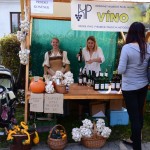 20140920 Jarmark 017