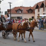 20140920 Jarmark 039