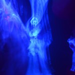 20140920 Jarmark 044