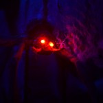 20140920 Jarmark 047