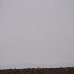 20141011 Drakiáda 089