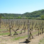 20120428 JMB Podyji 039