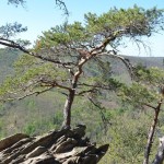 20120428 JMB Podyji 046