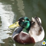 20120508 JMB Lednice 007