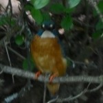 20120508 JMB Lednice 010