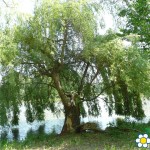 20120508 JMB Lednice 024