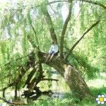 20120508 JMB Lednice 028