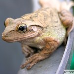 20120526 Fotosoutez 002