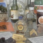 20120928 JMB Po vinarskych stezskach 014