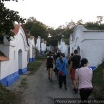 20120928 JMB Po vinarskych stezskach 043
