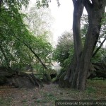 20120928 JMB Po vinarskych stezskach 052