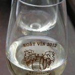 20120928 JMB Po vinarskych stezskach 063