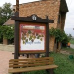 20120928 JMB Po vinarskych stezskach 072