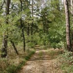 20120928 JMB Po vinarskych stezskach 085