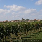 20120928 JMB Po vinarskych stezskach 092