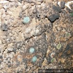 20120928 JMB Po vinarskych stezskach 098