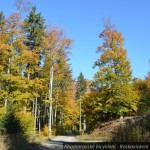 20121020 JMB Boskovicko 013