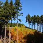 20121020 JMB Boskovicko 027