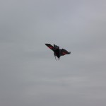 20101028 Drakiáda 013