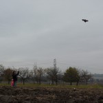 20101028 Drakiáda 028