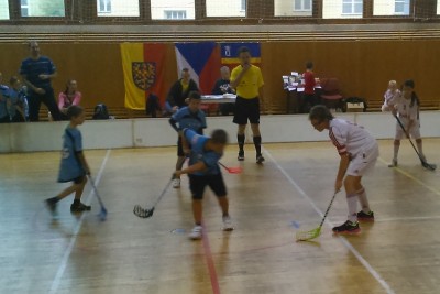 Moravská vlajka na zápase