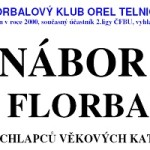 Nábor do florbalu 2015