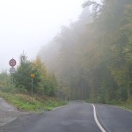 151018_Prirodnim_parkem_Ricky_006