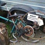 151018_Prirodnim_parkem_Ricky_022