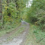 151018_Prirodnim_parkem_Ricky_034