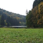 151018_Prirodnim_parkem_Ricky_038