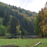 151018_Prirodnim_parkem_Ricky_040