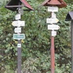 151018_Prirodnim_parkem_Ricky_048