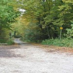 151018_Prirodnim_parkem_Ricky_050