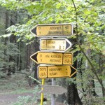 151018_Prirodnim_parkem_Ricky_053