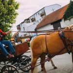 150919_Jarmark_a_vinobrani_087