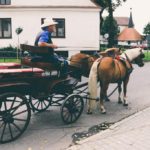 20160917_jarmark_001