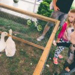 20160917_jarmark_030