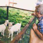 20160917_jarmark_032