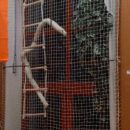 161230_Silvestr-ZOO_071