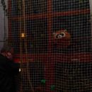 161230_Silvestr-ZOO_072