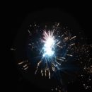 161230_Silvestr-ZOO_091