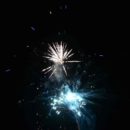 161230_Silvestr-ZOO_092