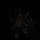 161230_Silvestr-ZOO_094