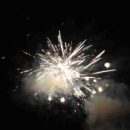 161230_Silvestr-ZOO_095