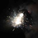 161230_Silvestr-ZOO_097