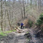 12Rakovecké údolí