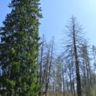 20Rakovecké údolí