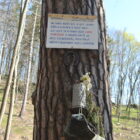 22Rakovecké údolí