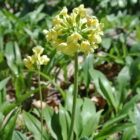 27Rakovecké údolí